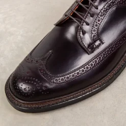 Alden #8 Cordovan Longwing