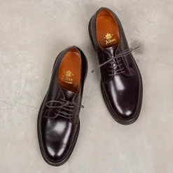 Alden #8 Cordovan Plain Toe Blucher