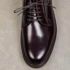 Alden #8 Cordovan Plain Toe Blucher