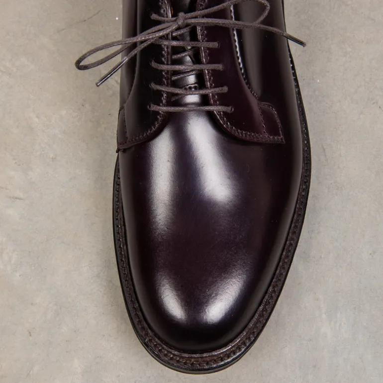 Alden #8 Cordovan Plain Toe Blucher