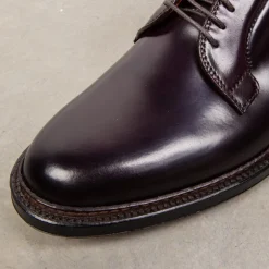 Alden #8 Cordovan Plain Toe Blucher