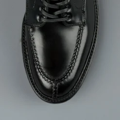 Alden Black Cordovan NST boots