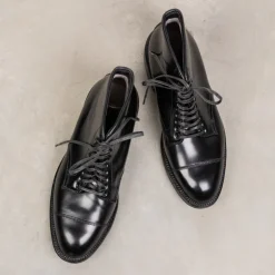 Alden Black cordovan parajumper boots