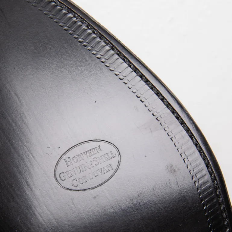 Alden Black cordovan parajumper boots