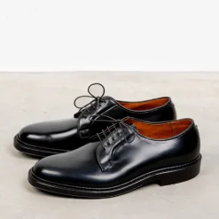 Alden Black Cordovan Plain Toe Blucher