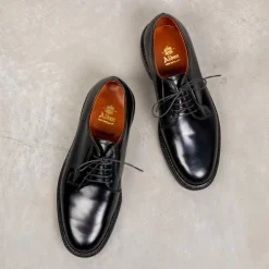 Alden Black Cordovan Plain Toe Blucher