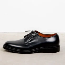 Alden Black Cordovan Plain Toe Blucher