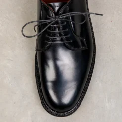Alden Black Cordovan Plain Toe Blucher