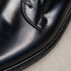Alden Black Cordovan Plain Toe Blucher