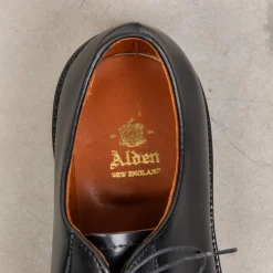 Alden Black Cordovan Plain Toe Blucher