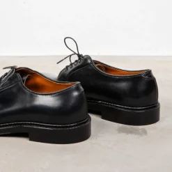 Alden Black Cordovan Plain Toe Blucher