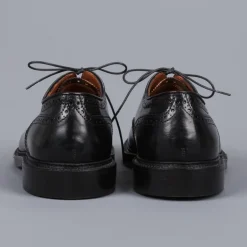 Alden black cordovan straight 