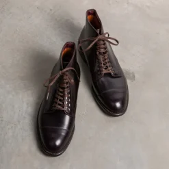 Alden Color #8 Cordovan Parajumper Boots