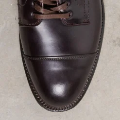 Alden Color #8 Cordovan Parajumper Boots