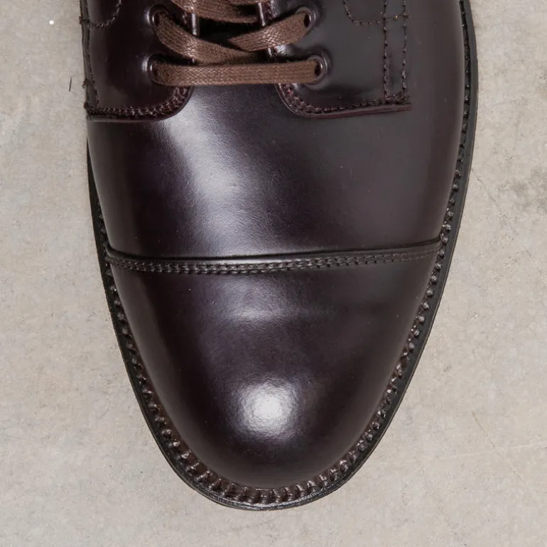 Alden Color #8 Cordovan Parajumper Boots