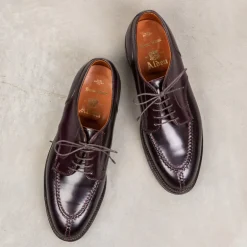 Alden color #8 NST blucher