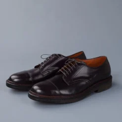 Alden x Frans Boone Cap Toe Cordovan #8 on Crepe sole