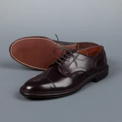 Alden x Frans Boone unlined captoe #8 cordovan on flex sole