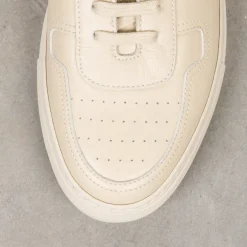 Common Projects BBall Classic Stone