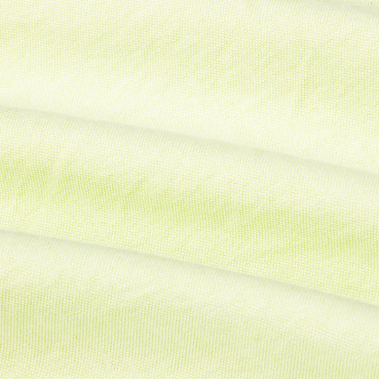 Gitman Vintage x Frans Boone Japanese Oxford Light Green