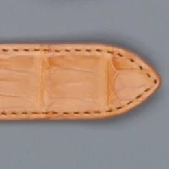 Simonnot & Godard x Frans Boone Caiman Croccodilus Fiscus belt Miele